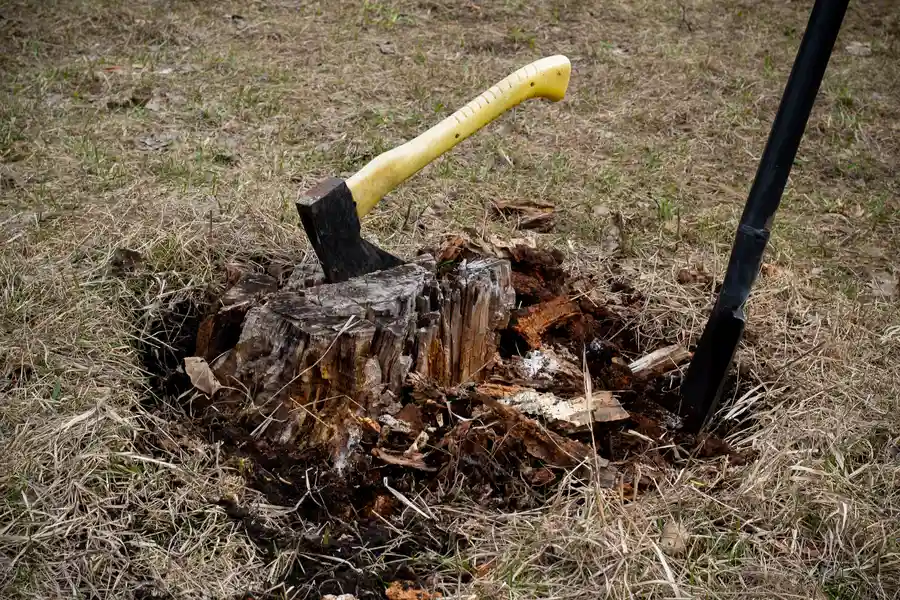 How Stump Removal Can Improve Your Yards Usability Laurel, MD How Stump Removal Can Improve Your Yards Usability Laurel, MD