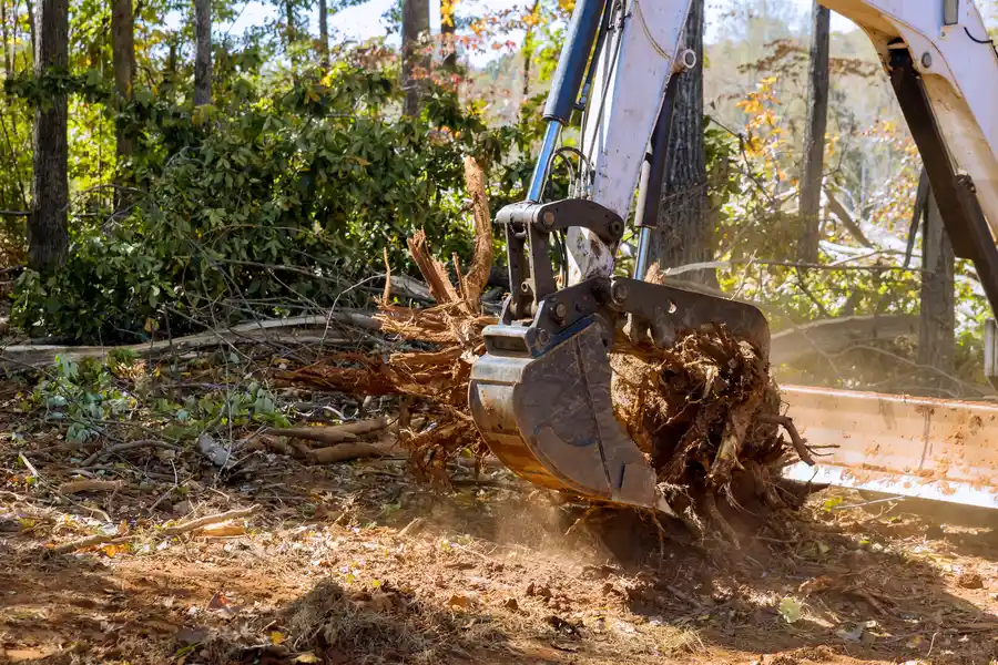Reliable Tree Stump Removal Laurel, MD Reliable Tree Stump Removal Laurel, MD