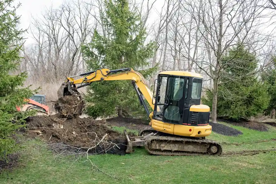 Reputable Tree Stump Removal Laurel, MD Reputable Tree Stump Removal Laurel, MD