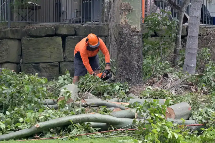 Superior Tree Removal Laurel, MD Superior Tree Removal Laurel, MD