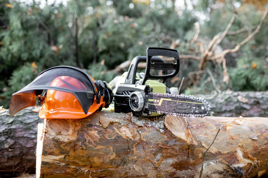 Why Tree Cutting Service Is Crucial For Utility Line Safety Laurel, MD Why Tree Cutting Service Is Crucial For Utility Line Safety Laurel, MD